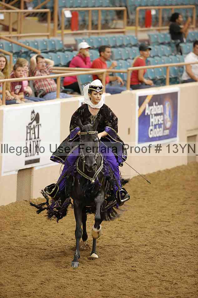 Proof Number 13yn_12218