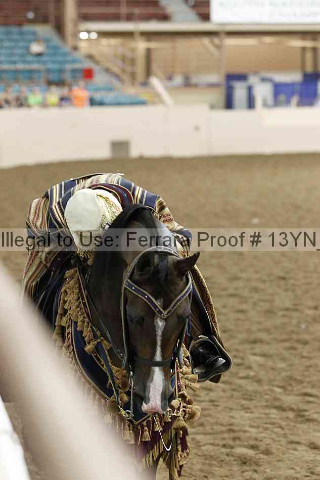 Proof Number 13yn_12307