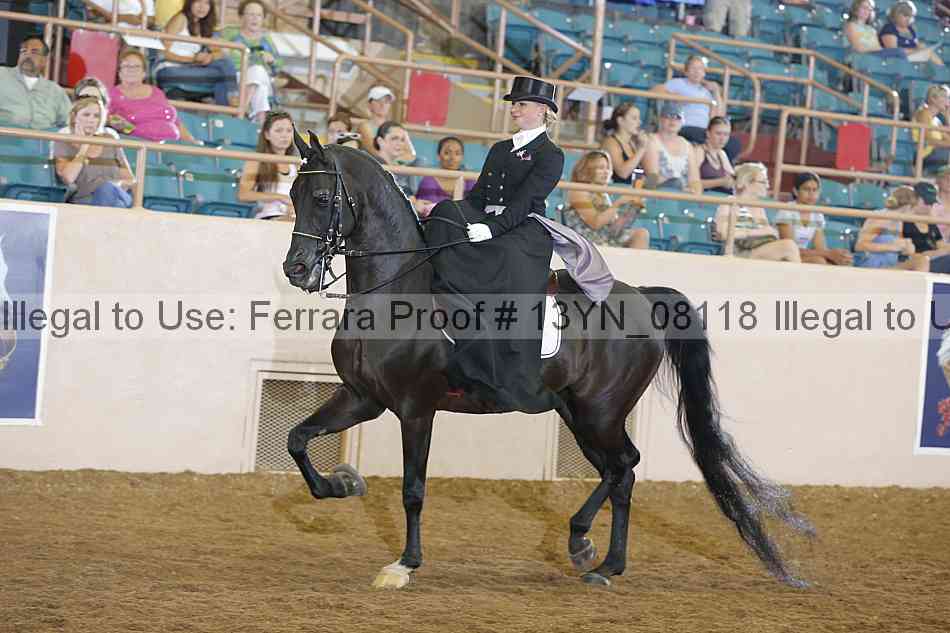 Proof Number 13yn_08118
