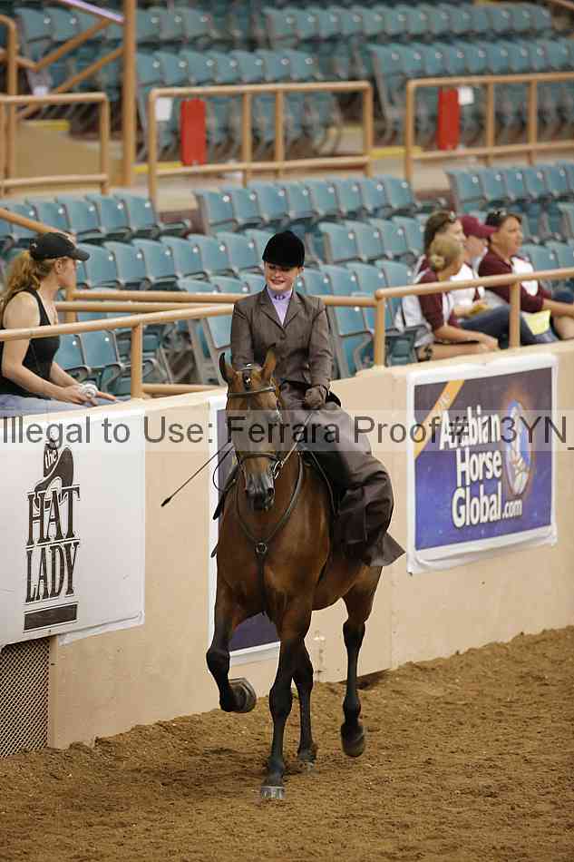 Proof Number 13yn_08139