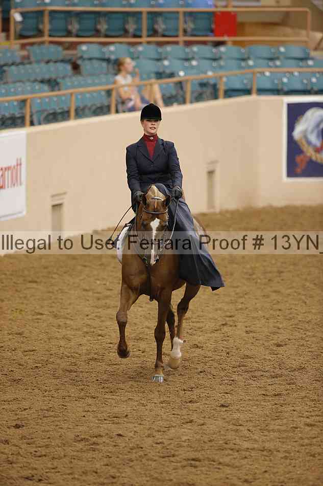 Proof Number 13yn_08184