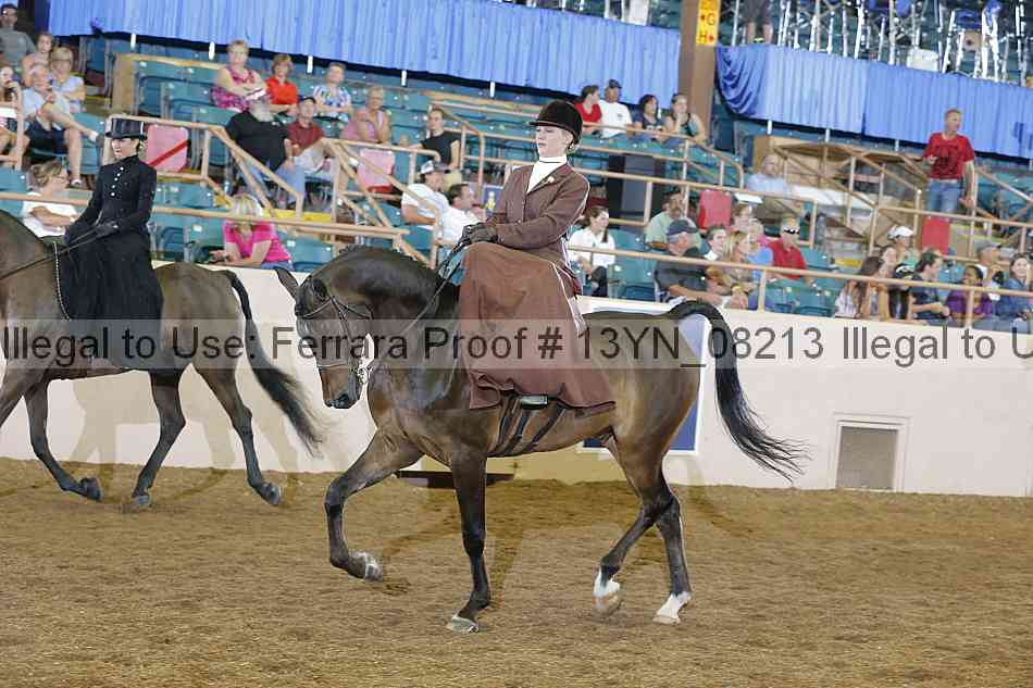 Proof Number 13yn_08213