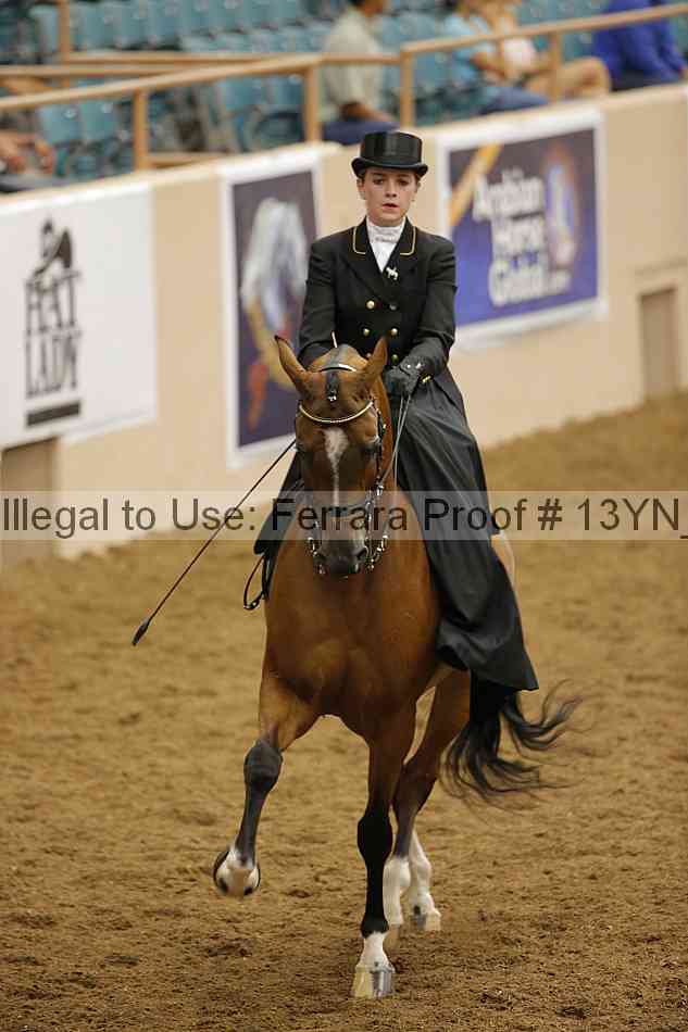 Proof Number 13yn_08214