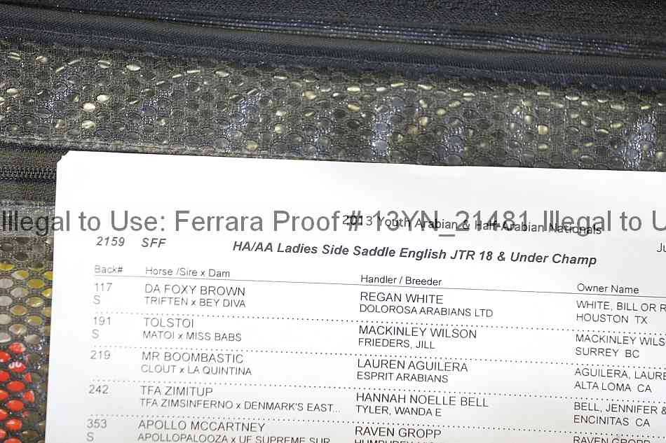 Proof Number 13yn_21481