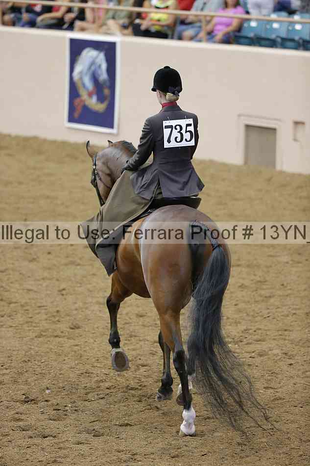 Proof Number 13yn_21487