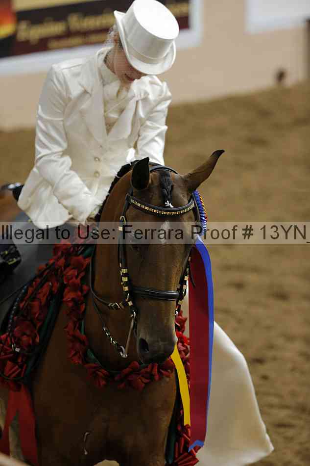 Proof Number 13yn_21602