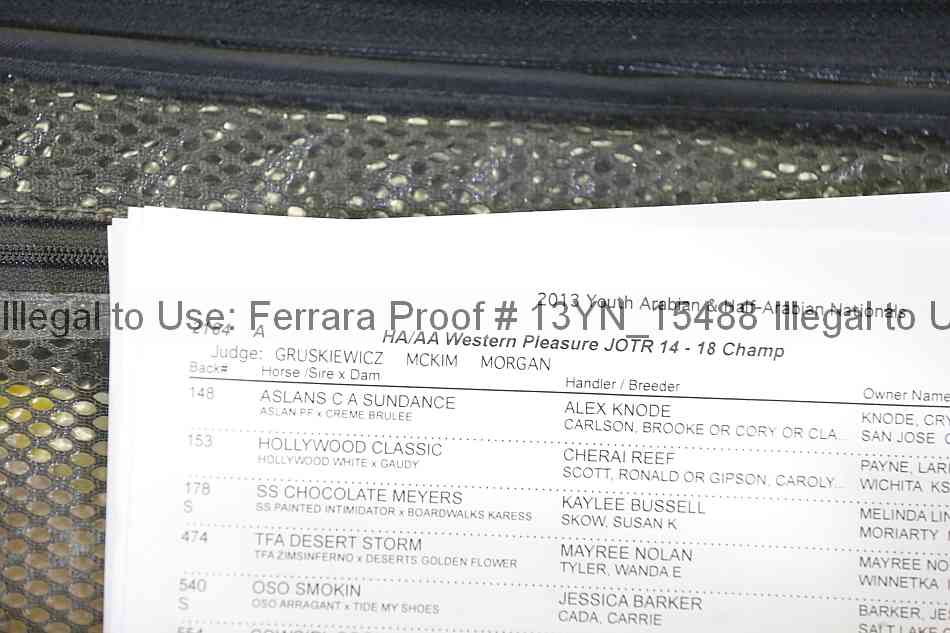 Proof Number 13yn_15488