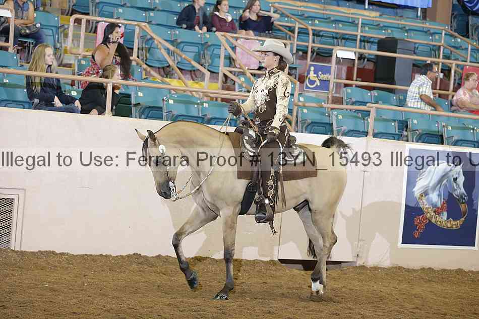 Proof Number 13yn_15493