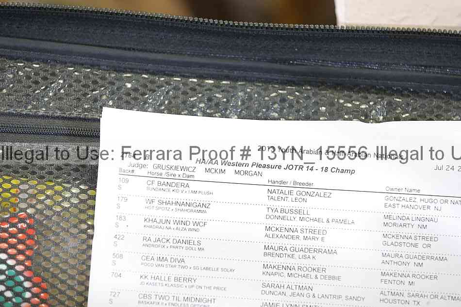 Proof Number 13yn_15556