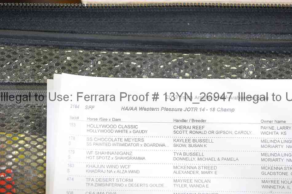 Proof Number 13yn_26947