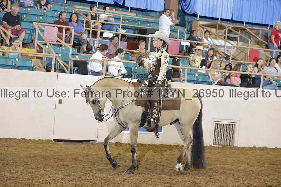Proof Number 13yn_26950