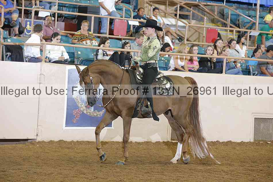 Proof Number 13yn_26961