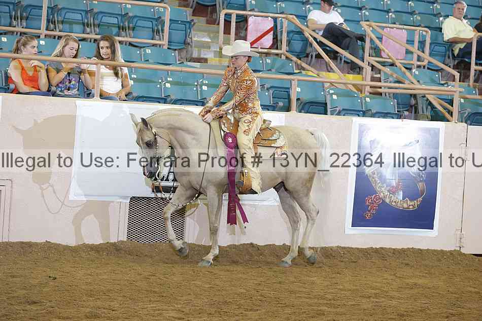Proof Number 13yn_22364