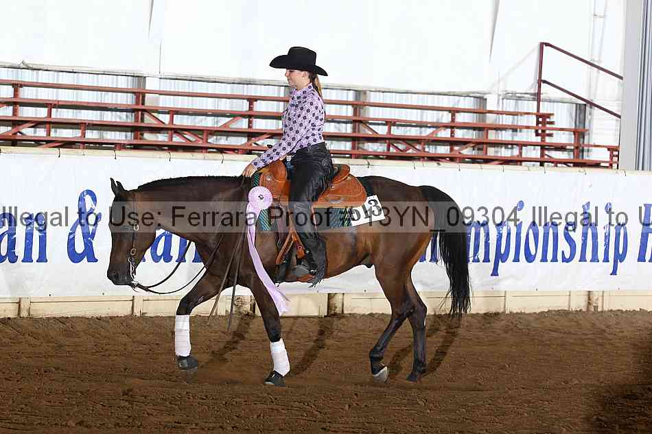 Proof Number 13yn_09304