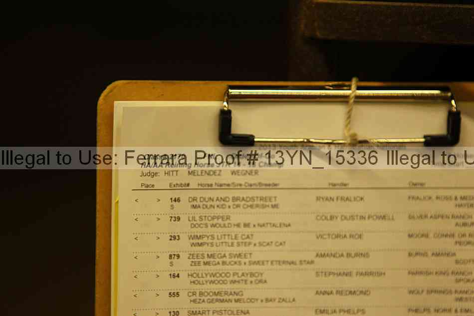 Proof Number 13yn_15336
