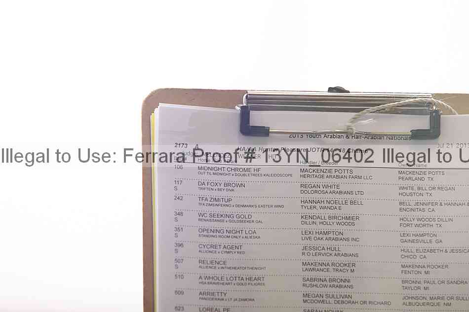 Proof Number 13yn_06402