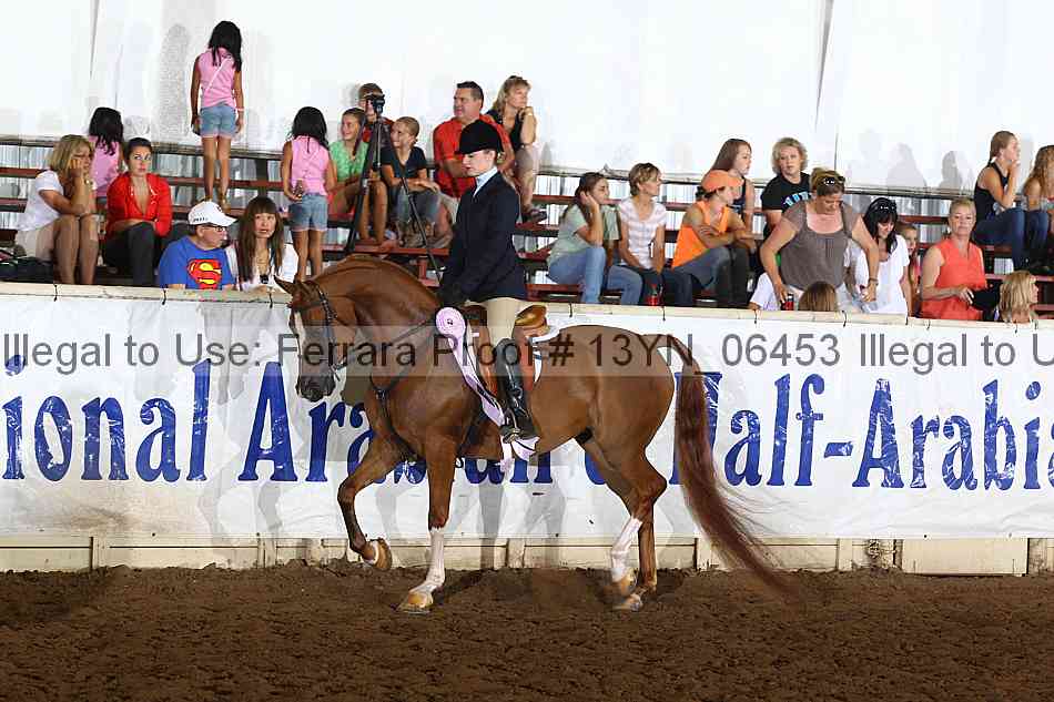 Proof Number 13yn_06453