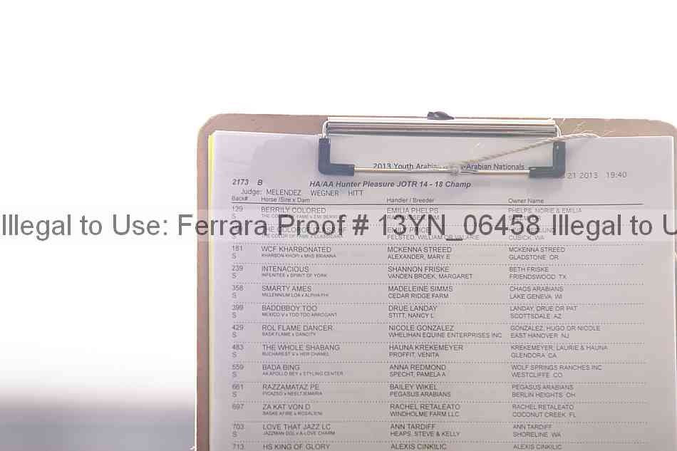 Proof Number 13yn_06458