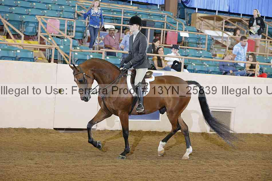 Proof Number 13yn_25839
