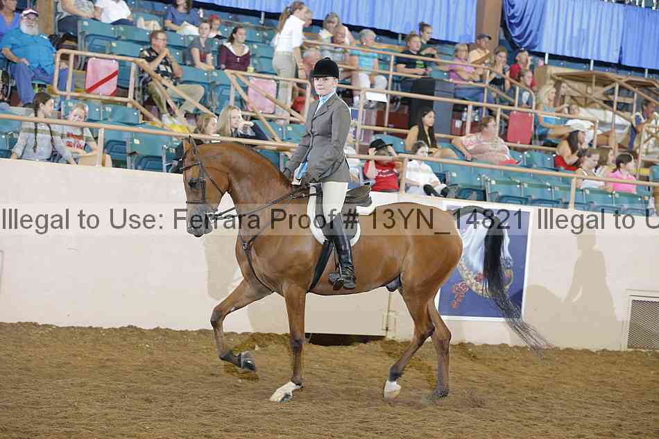 Proof Number 13yn_14821