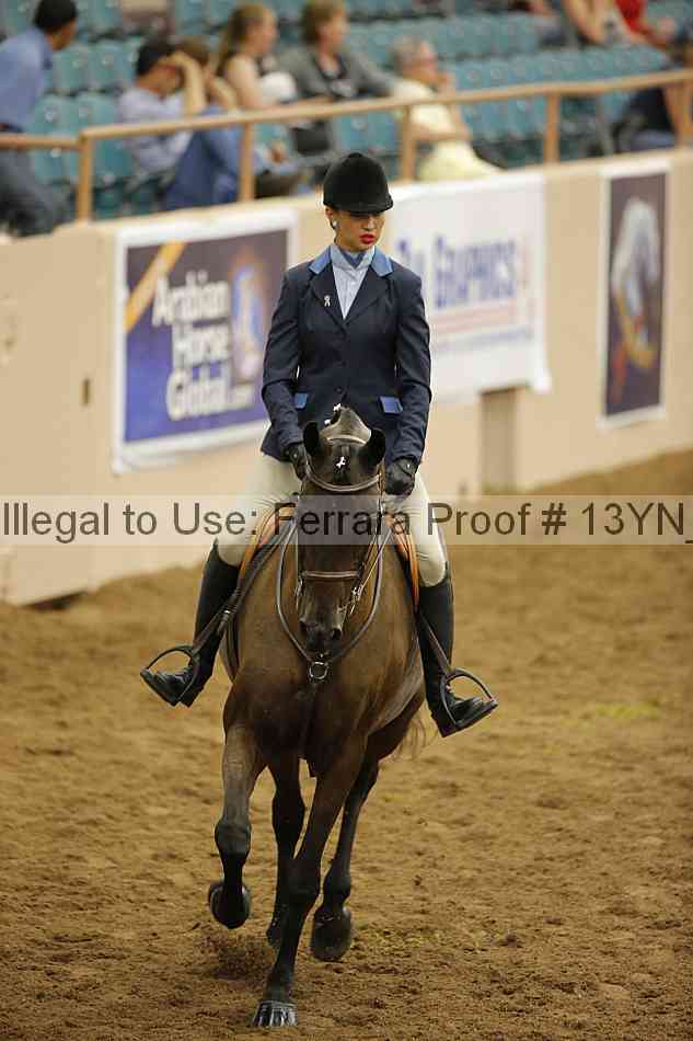 Proof Number 13yn_14825