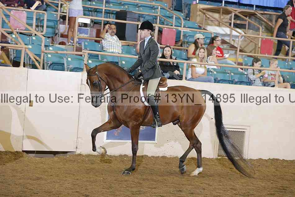 Proof Number 13yn_14895