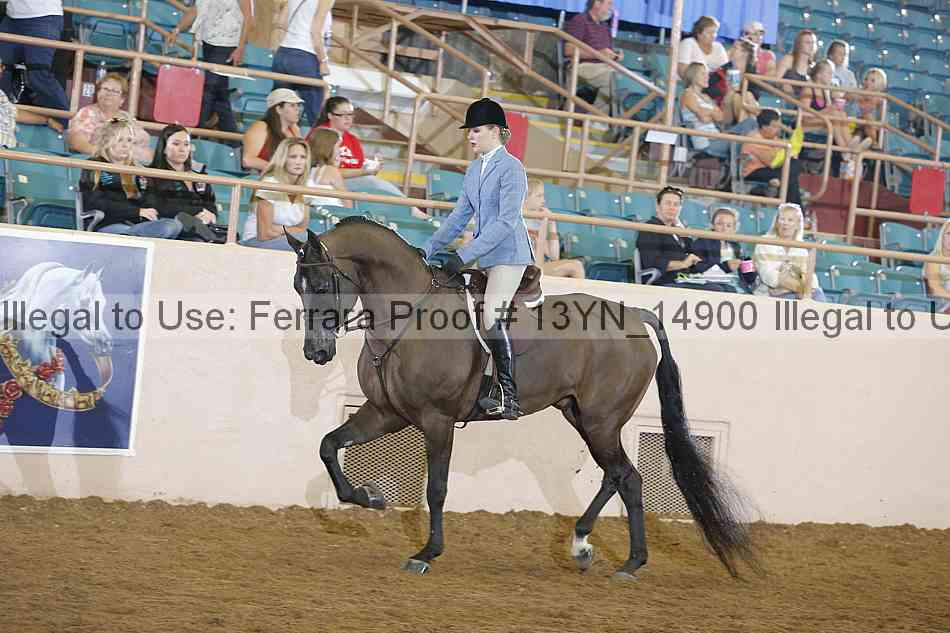 Proof Number 13yn_14900