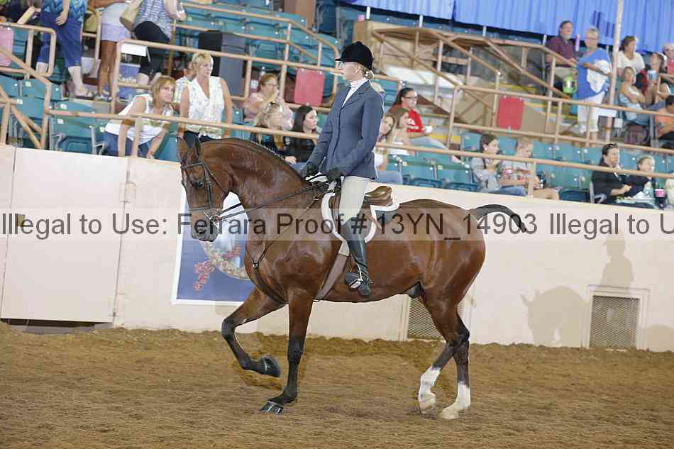 Proof Number 13yn_14903