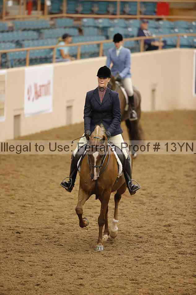 Proof Number 13yn_14909