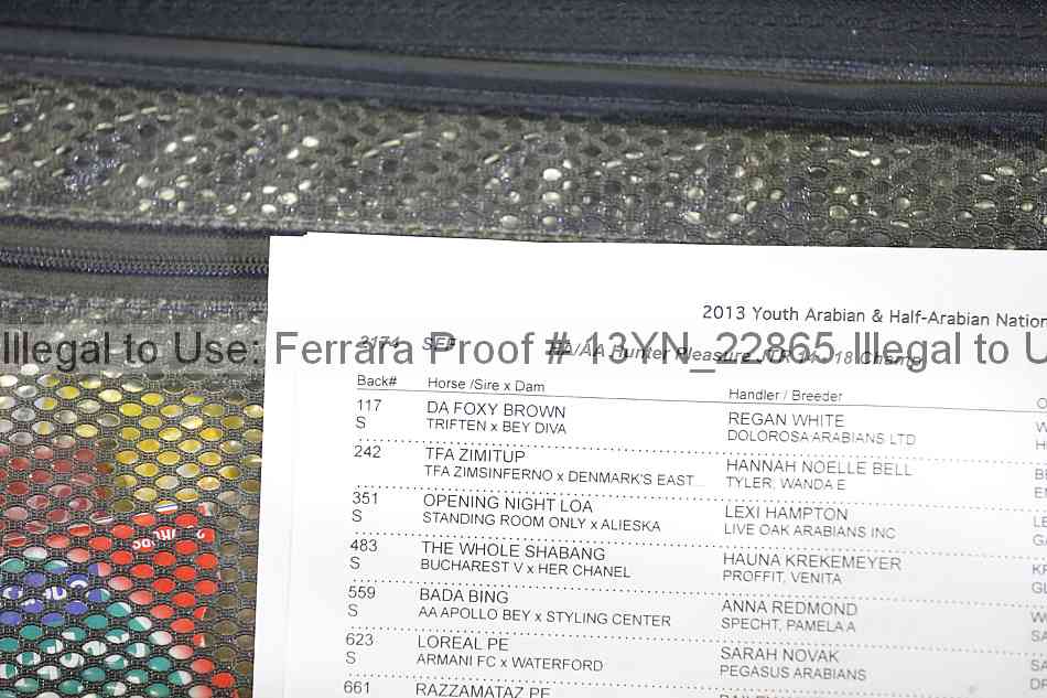 Proof Number 13yn_22865