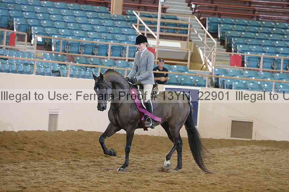 Proof Number 13yn_22901