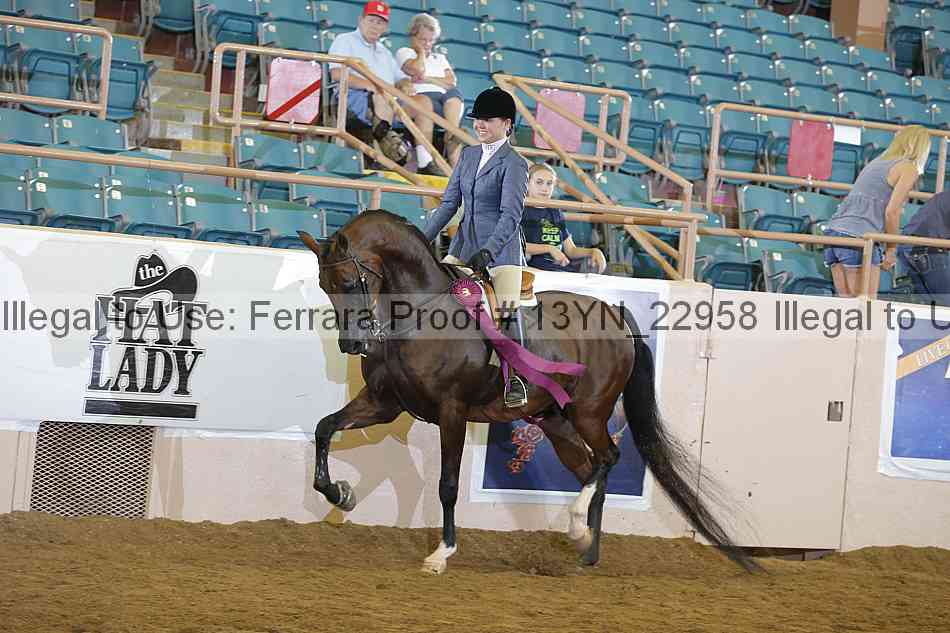 Proof Number 13yn_22958