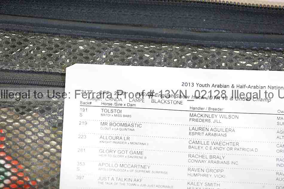 Proof Number 13yn_02128