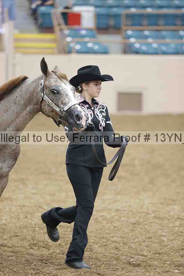 Proof Number 13yn_00435