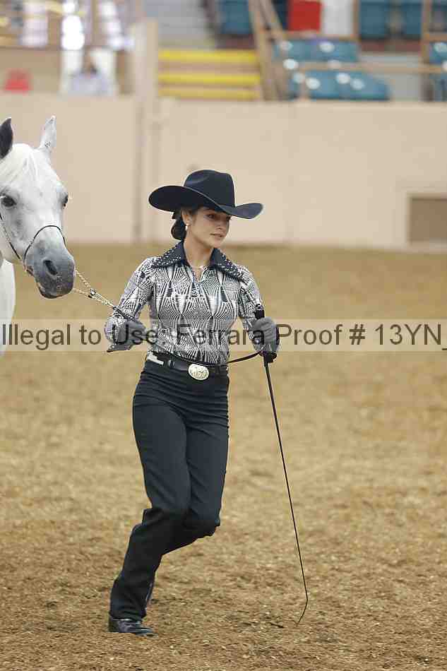 Proof Number 13yn_00457