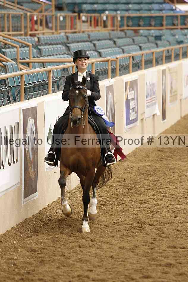 Proof Number 13yn_09095