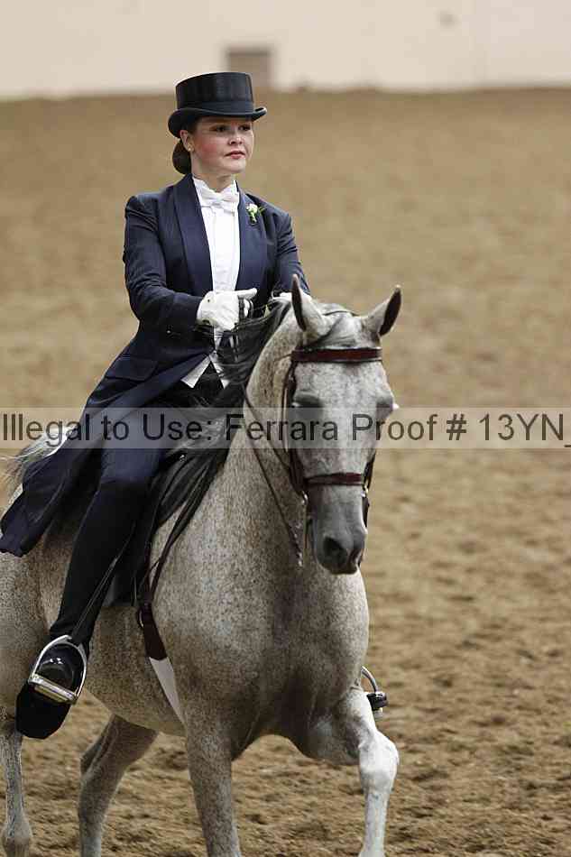 Proof Number 13yn_09100