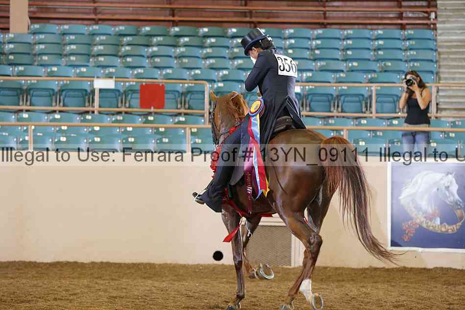 Proof Number 13yn_09111