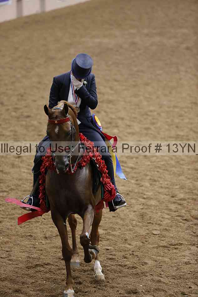 Proof Number 13yn_09118