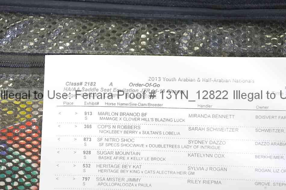 Proof Number 13yn_12822