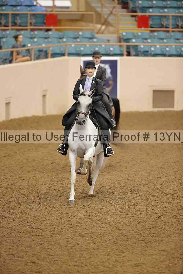 Proof Number 13yn_12851