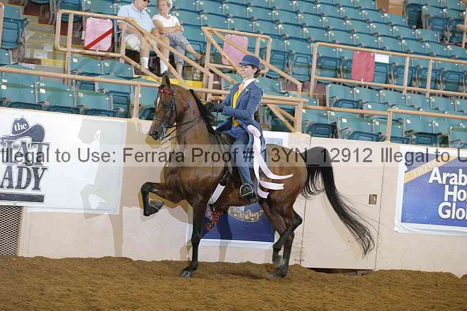 Proof Number 13yn_12912