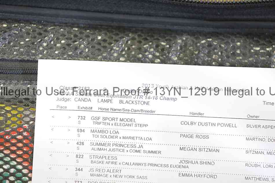 Proof Number 13yn_12919
