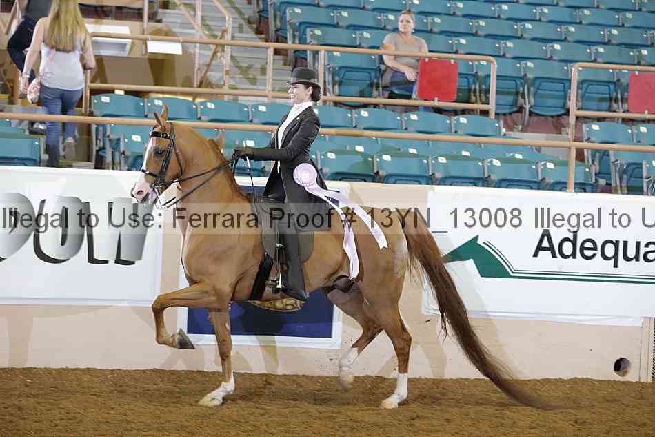 Proof Number 13yn_13008
