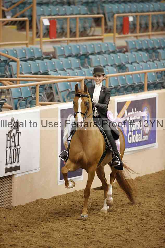 Proof Number 13yn_13009