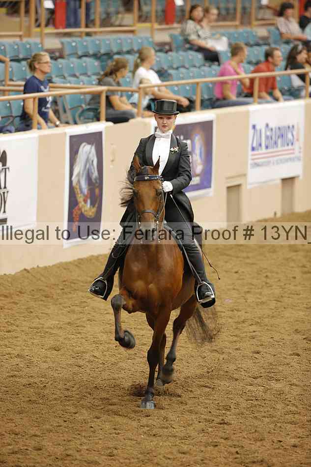 Proof Number 13yn_24090