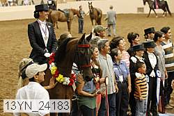 13yn_24183 thumbnail