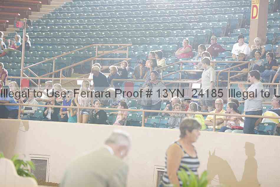 Proof Number 13yn_24185
