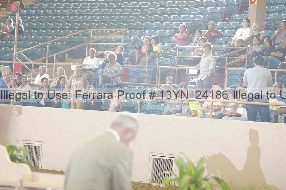 Proof Number 13yn_24186