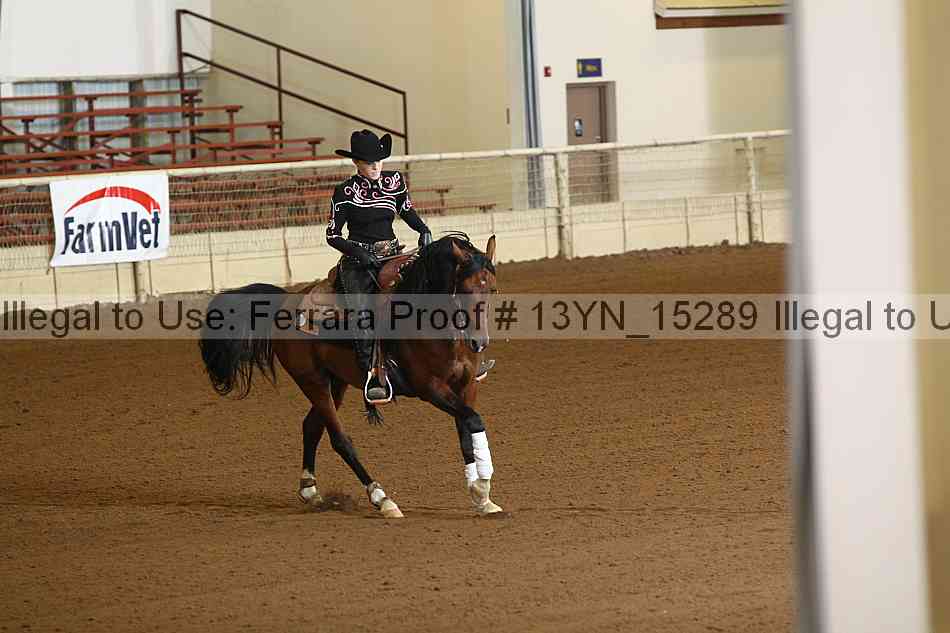 Proof Number 13yn_15289